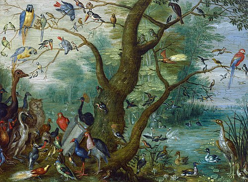 Concert d'Oiseaux, 1665, 