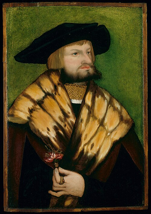 Portrait of Leonhard Fuchs, 1525, 