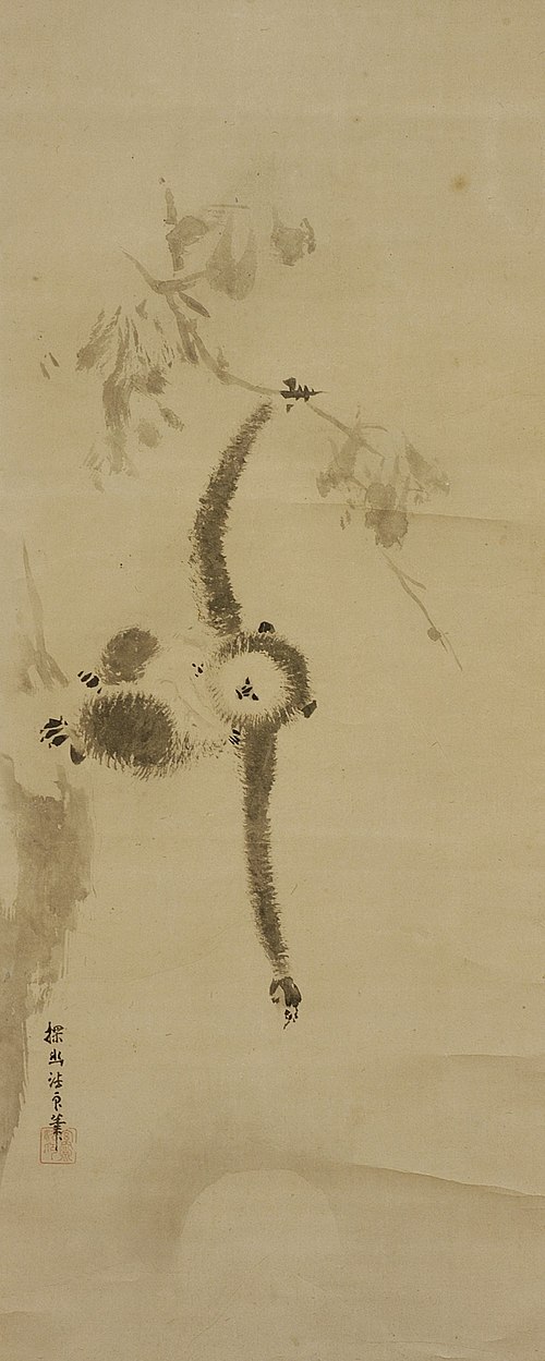 Gibbon, , 