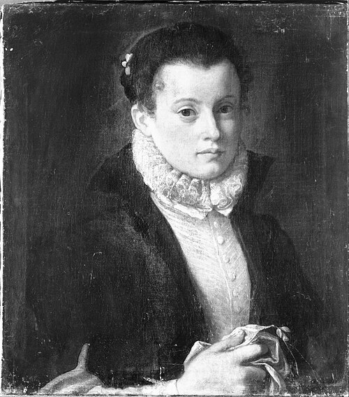 Portrait of an Unknown Lady, 1550, 