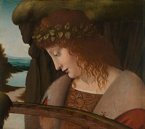 Narcissus, 1500, 