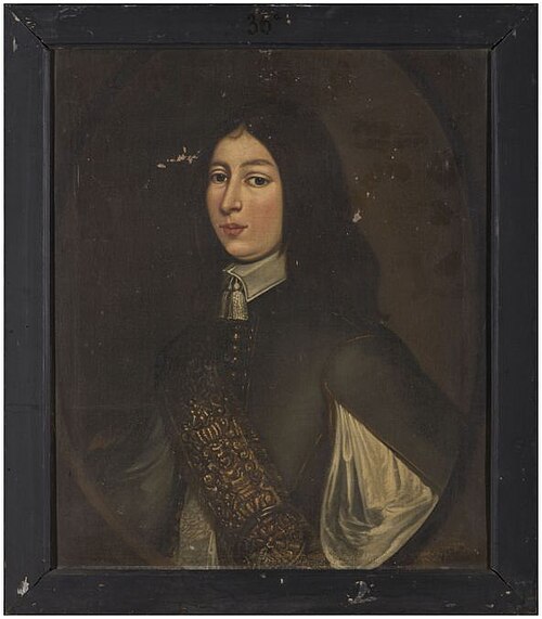 Portret van een onbekende jonge man, 1654, 
