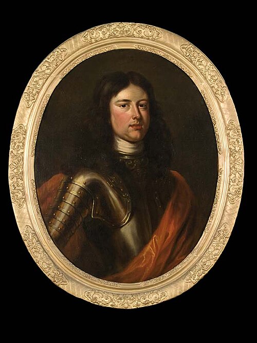 Portret van Tjalling Aedo Johan Heringa van Eysinga, 1690, 