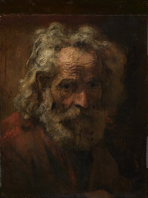 head of an old man, 1631, 