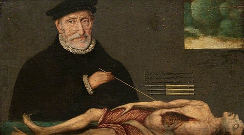 Portrait of an Anatomist, 1565, 