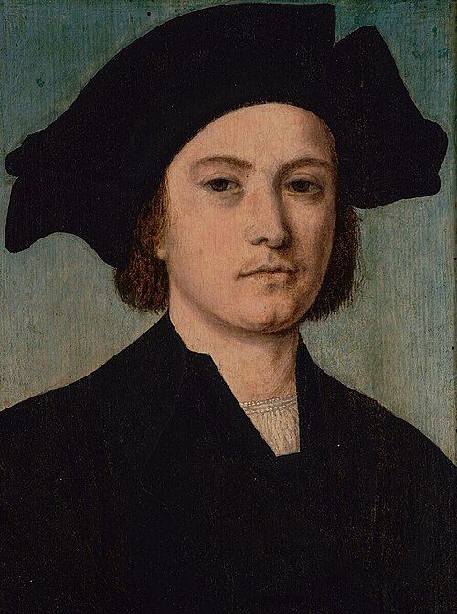 Portrait of a Young Man with a Dark Beret, 1524, 