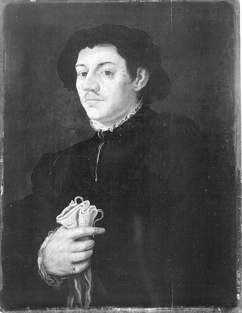 Portrait of a man with gloves, 1542, 