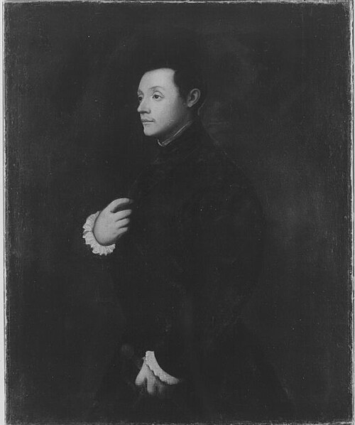 Bildnis eines jungen Mannes, 1560, 