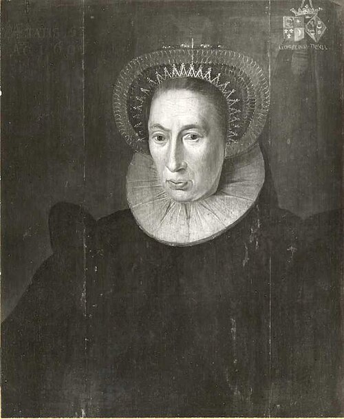 Portret van Frouck van Goslinga, 1605, 