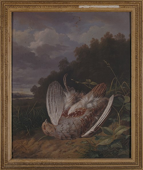Perdrix grise, 1862, 