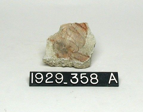 Two Painted Stucco Fragments from the Bath, Yale University Art Gallery, inv. 1929.358a-b, , 