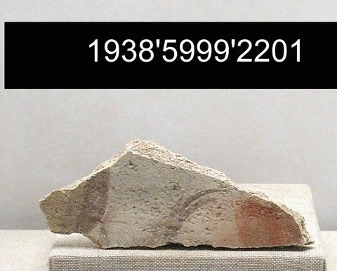 Fresco fragment, Yale University Art Gallery, inv. 1938.5999.2201, , 