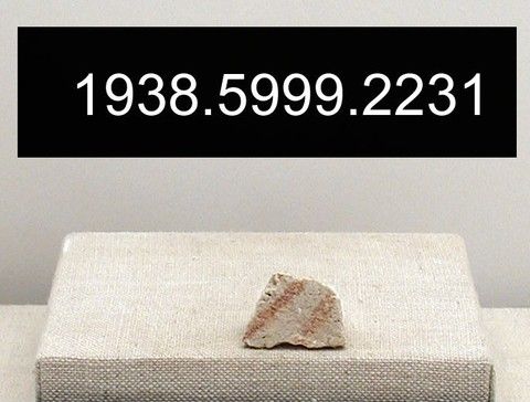 Fresco fragment, Yale University Art Gallery, inv. 1938.5999.2231, , 