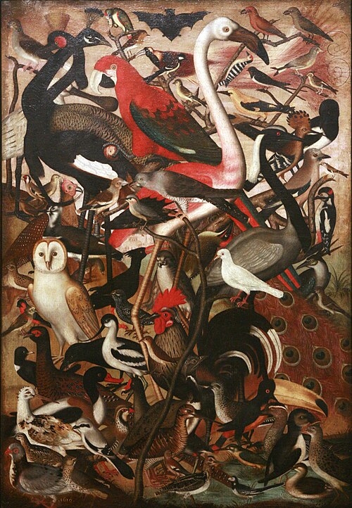 Les Oiseaux, 1619, 