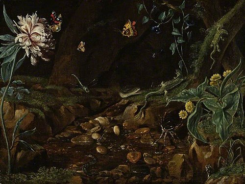 Stream in a dell, with flowers, reptiles, etc..., 1687, 