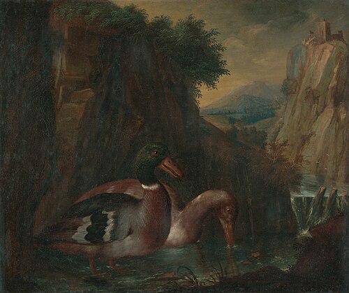 Kačice v potoku, 1620, 