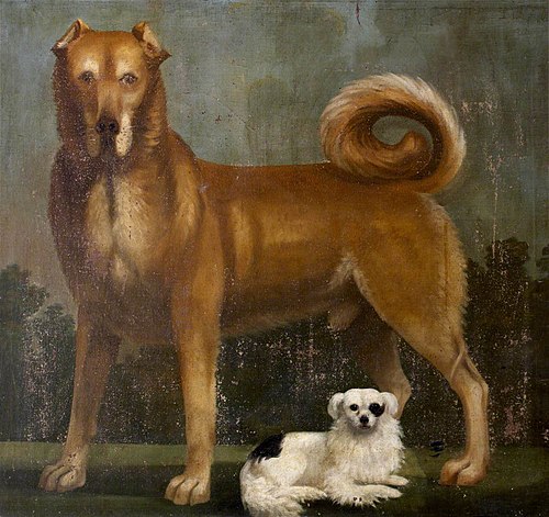 Two Dogs: a Lyme Mastiff and a Papillon, 1800, 