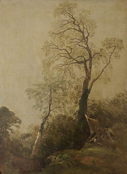 Birches in Helmingham Park (?), 1800, 