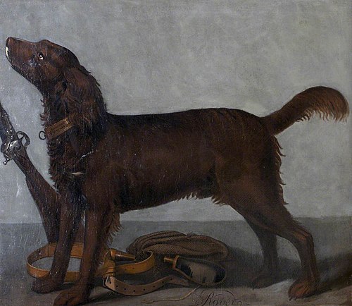 'Rover', 1700, 