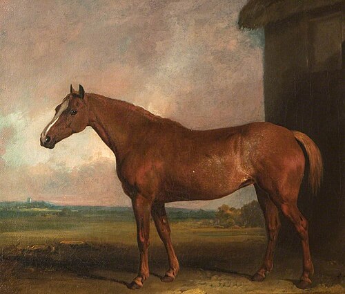 The Favourite Horse of Lord Charles Vere Ferrers Townshend (1785-1853), 1820, 