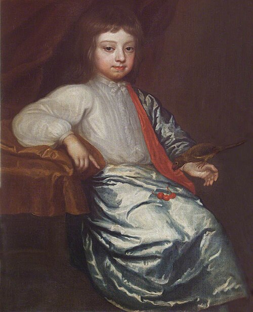 An Unknown Boy, 1649, 