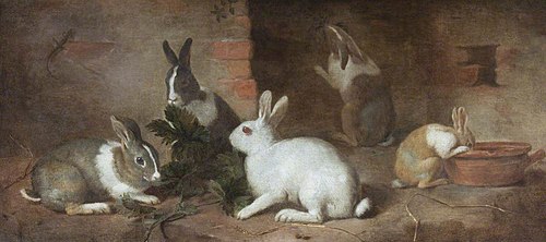 Rabbits Feeding, 1749, 
