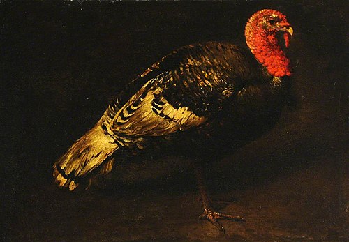 A Turkey Cock, 1694, 