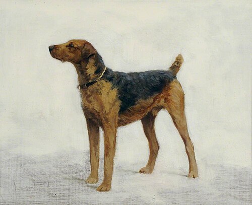 An Airedale Terrier, 1849, 