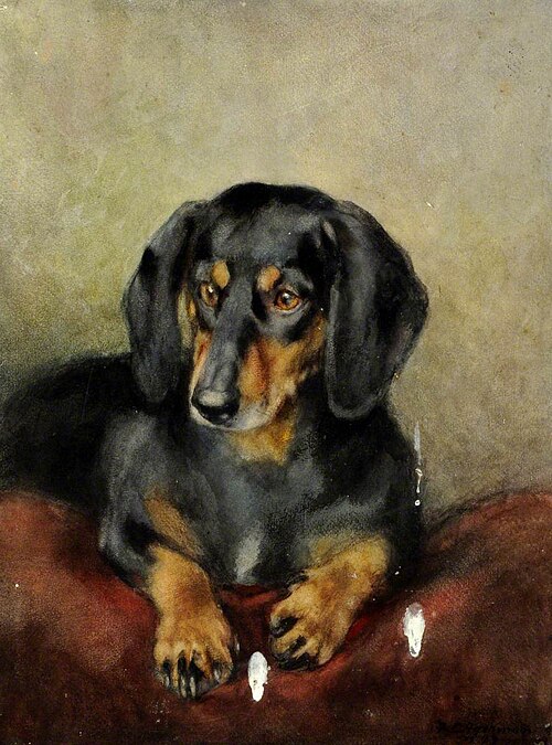 A Black and Tan Dachshund, 1849, 