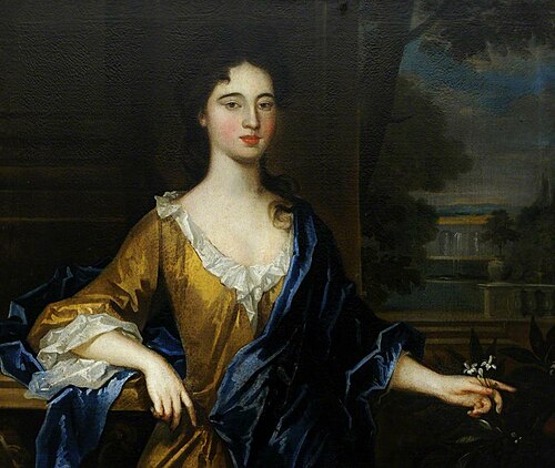 An Unknown Lady in Gold and Blue, 1649, 