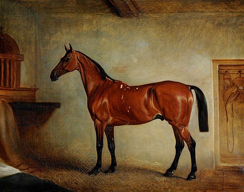 A Bay Horse in a Stable, 1849, 