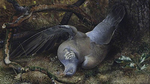 Un pigeon mort, 1849, 