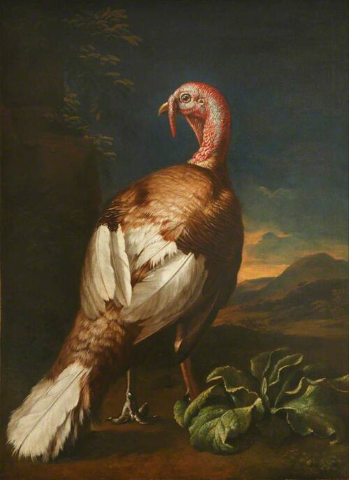 A Turkey in a Landscape, 1675, 