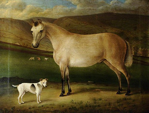 Horse and Dogs, 1849, 