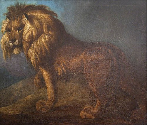 A Lion, 1749, 