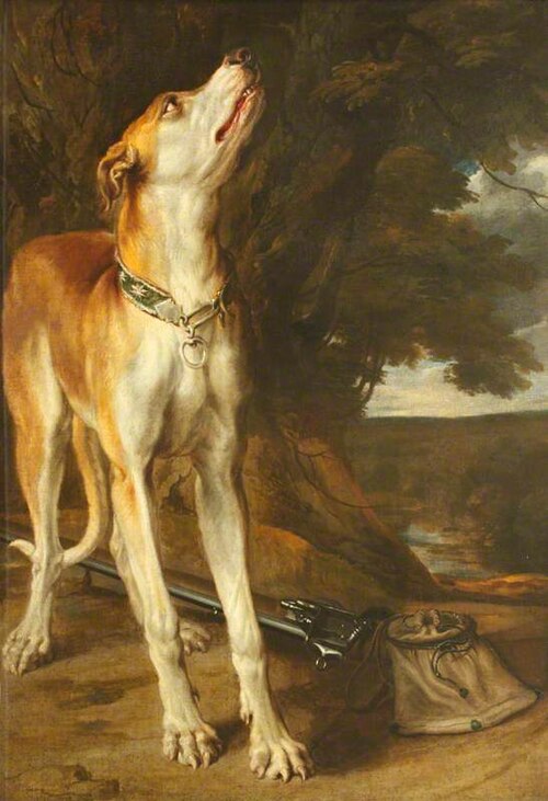 A Hound looking up, 1649, 