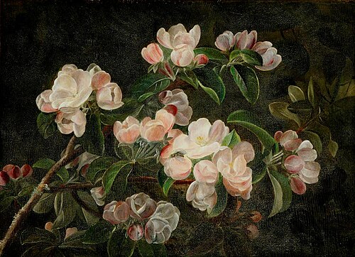 Still Life of Apple Blossom, 1814, 