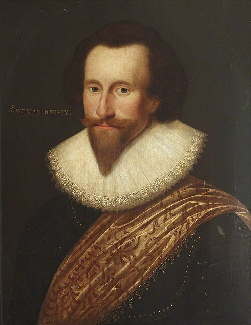 Sir William Hervey, MP (1585 - 1660), 1625, 