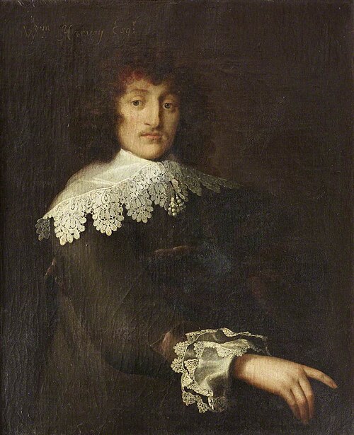 William Hervey (1619-1642), 1641, 