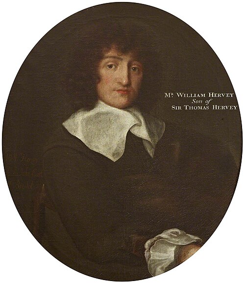 William Hervey (1619-1642), 1641, 
