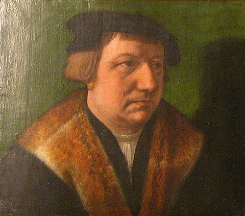 A Unknown Man, 1564, 