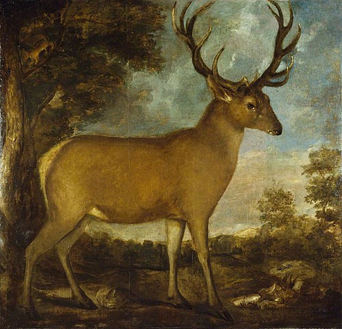 Derby Stag, 1656, 