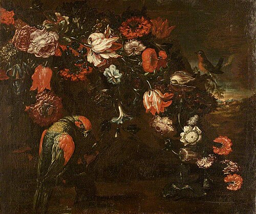 Sprays of Flowers and a Macaw, 1684, 