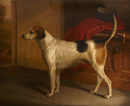 'Guardian': Portrait of a Hound, 1884, 
