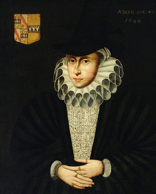 Mrs Jennyngs (b.1550/51), aged 45, 1596, 
