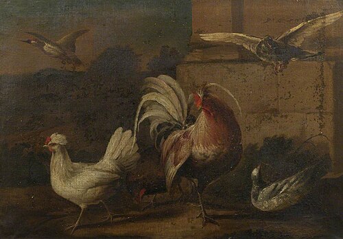 Poultry in a Landscape, 1699, 