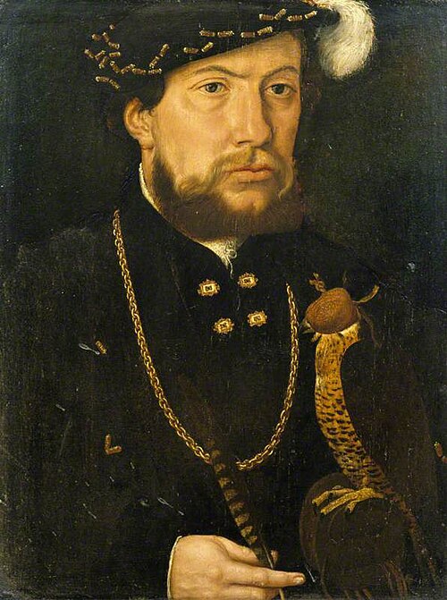 An Unknown Man with a Hooded Hawk, 1537, 