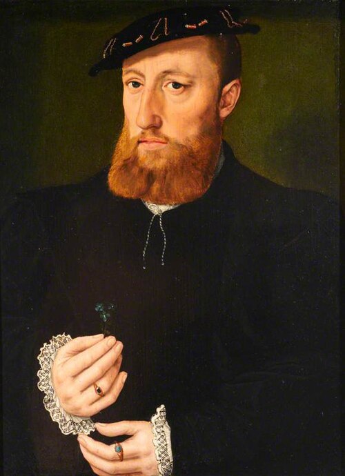 A Bearded Man with a Blue Flower, 1549, 