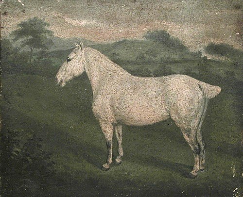 A White Horse, 1849, 