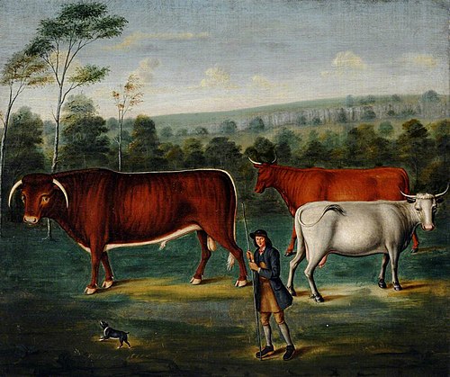 Long-horned Cattle with a Cowherd in a Landscape, 1749, 
